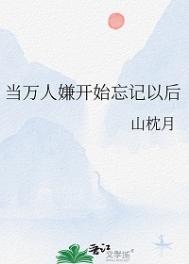 夫人路子野入了世子心