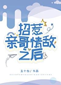 大明我的老丈人是卢象升名字