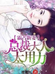 霸占新妻:总裁大人太用力