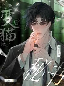 职场风尘1