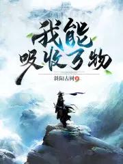 黑风老妖 第十七部是什么
